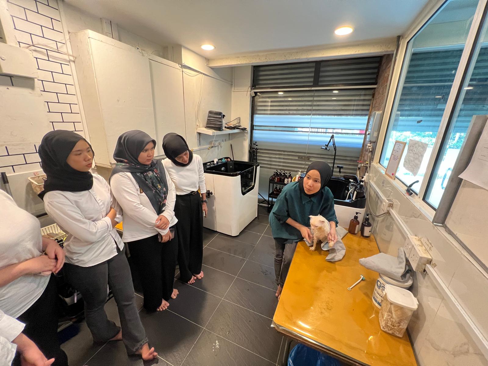 A senior groomer demonstrating safe cat handling to a line of trainees