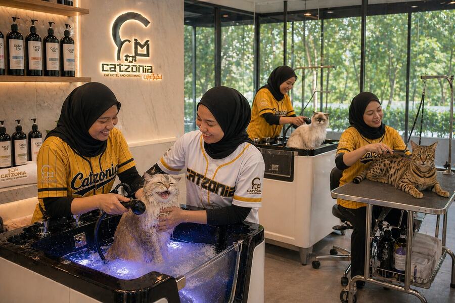 Catzonia Bukit Jalil