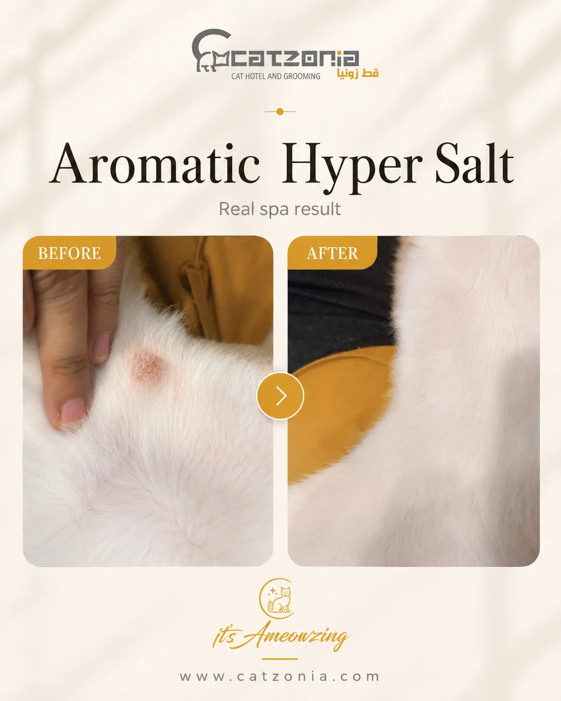 Aromatic Hypersalt Bath — photo 9