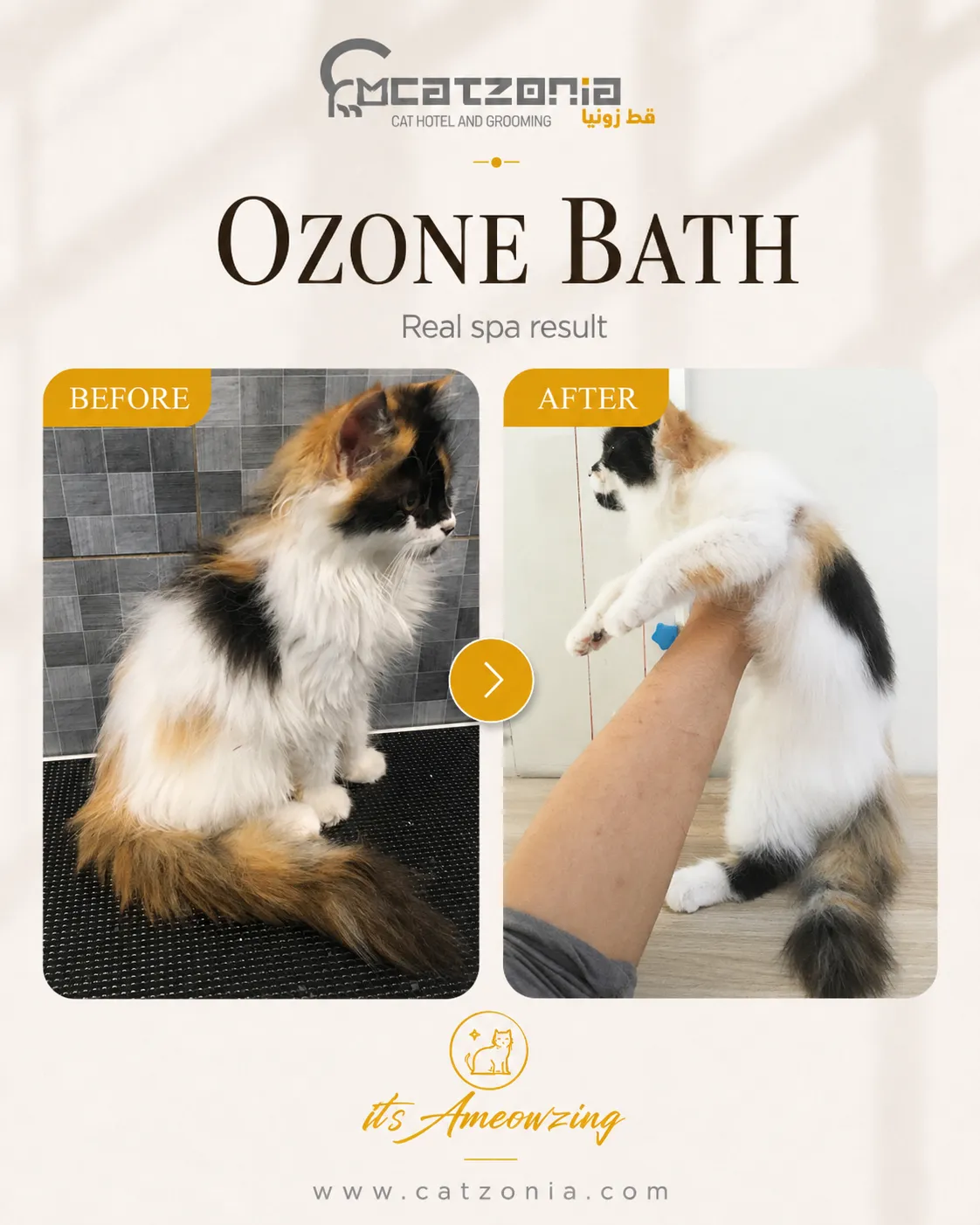 Ozone Bath — photo 8