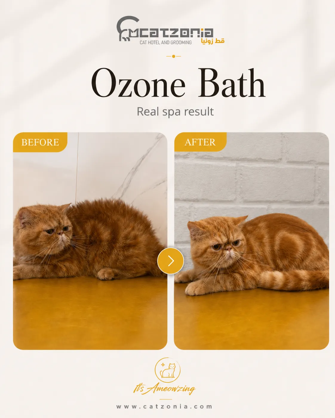 Ozone Bath — photo 9