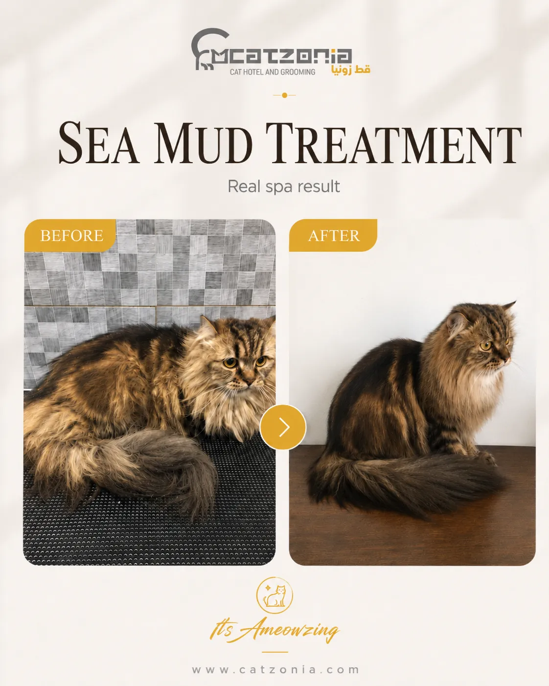 Sea Mud Treatment — photo 7