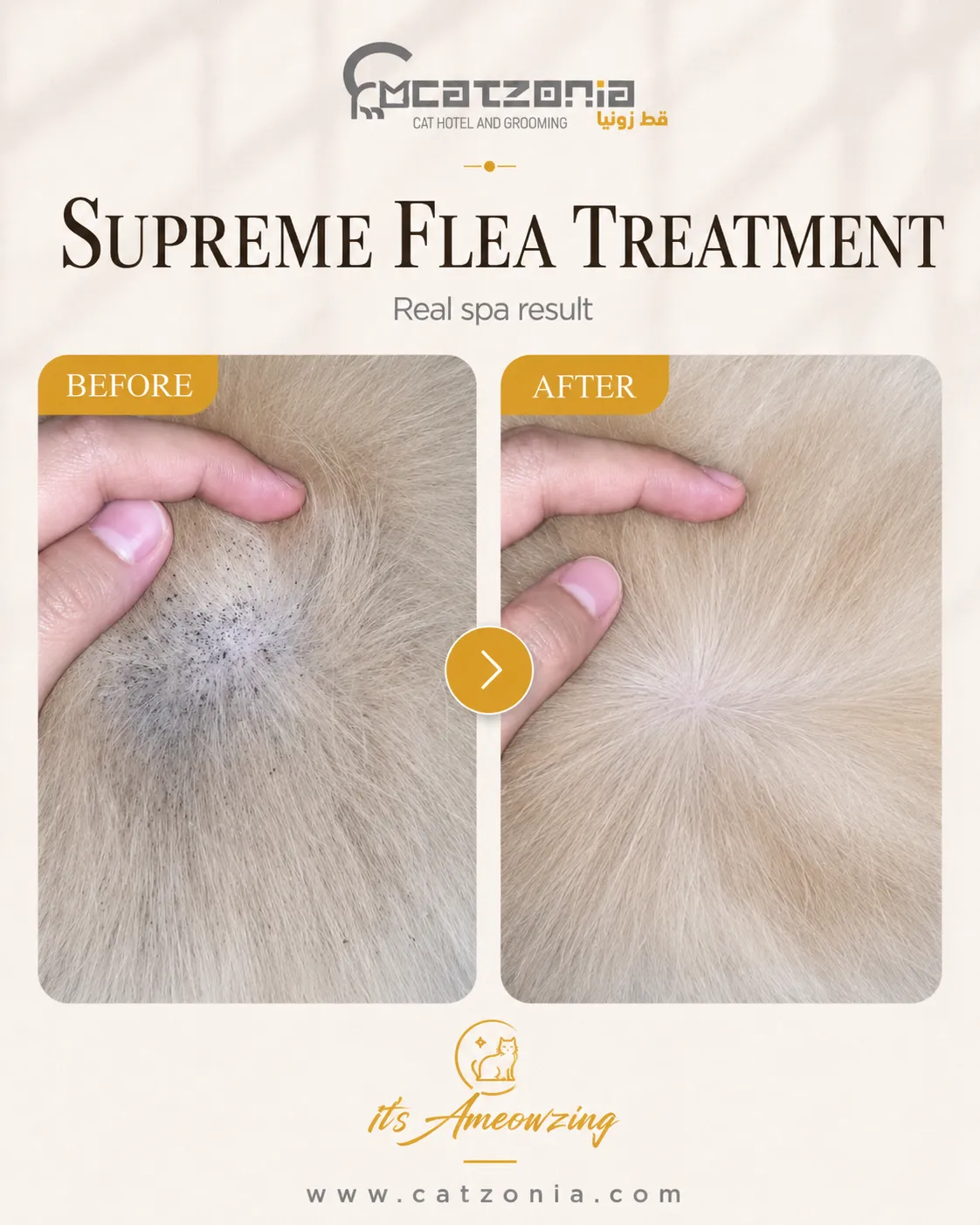 Supreme Flea Treatment — photo 4