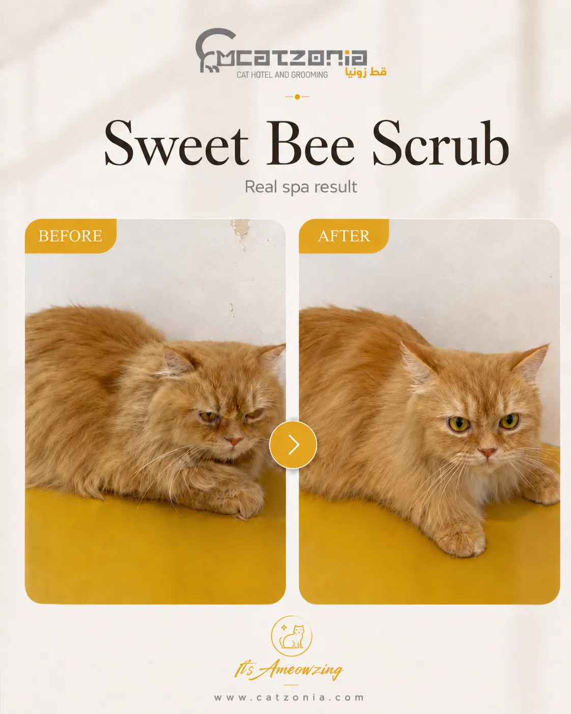 Sweet Bee Scrub — photo 9