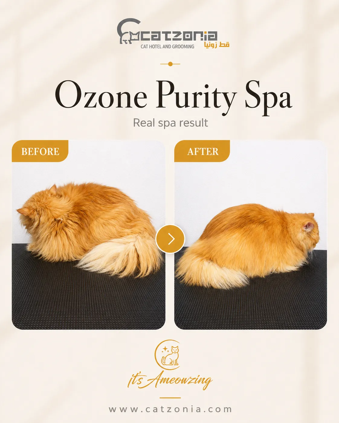 Ozone Purity Spa — photo 8