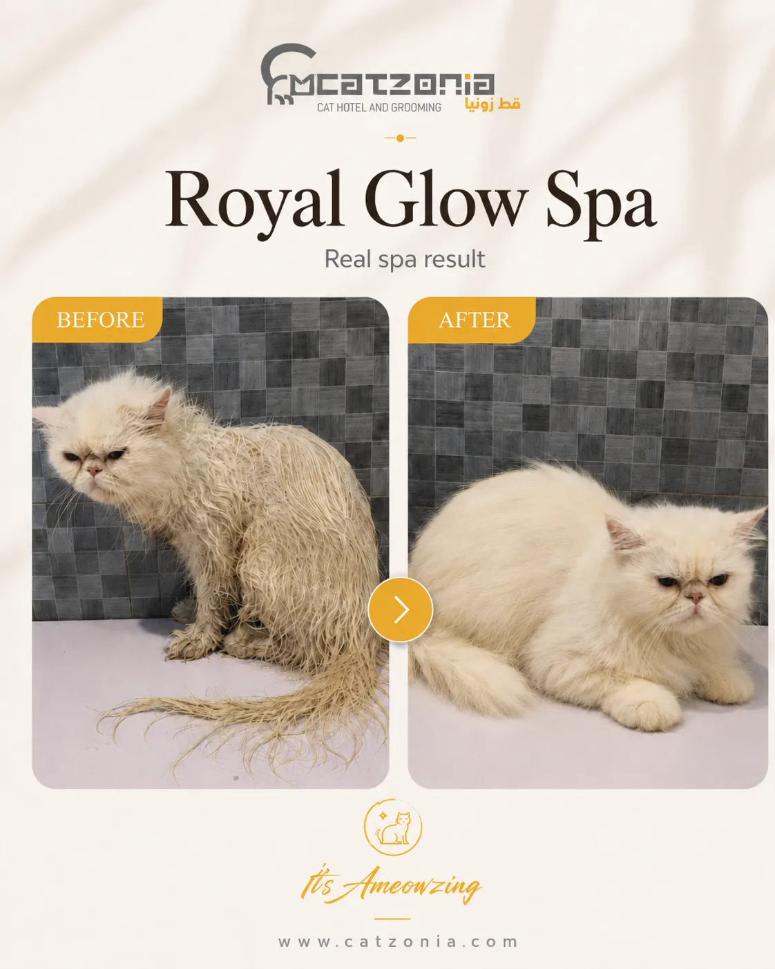 Royal Glow Spa — photo 8