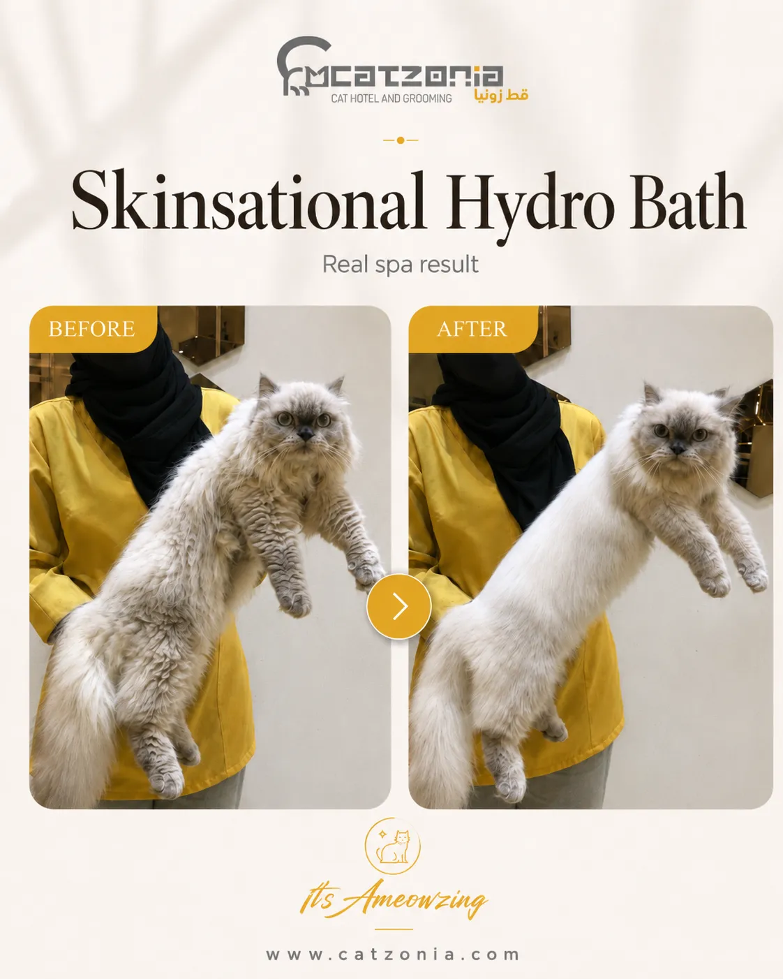 Skinsational Hydro Bath — photo 7
