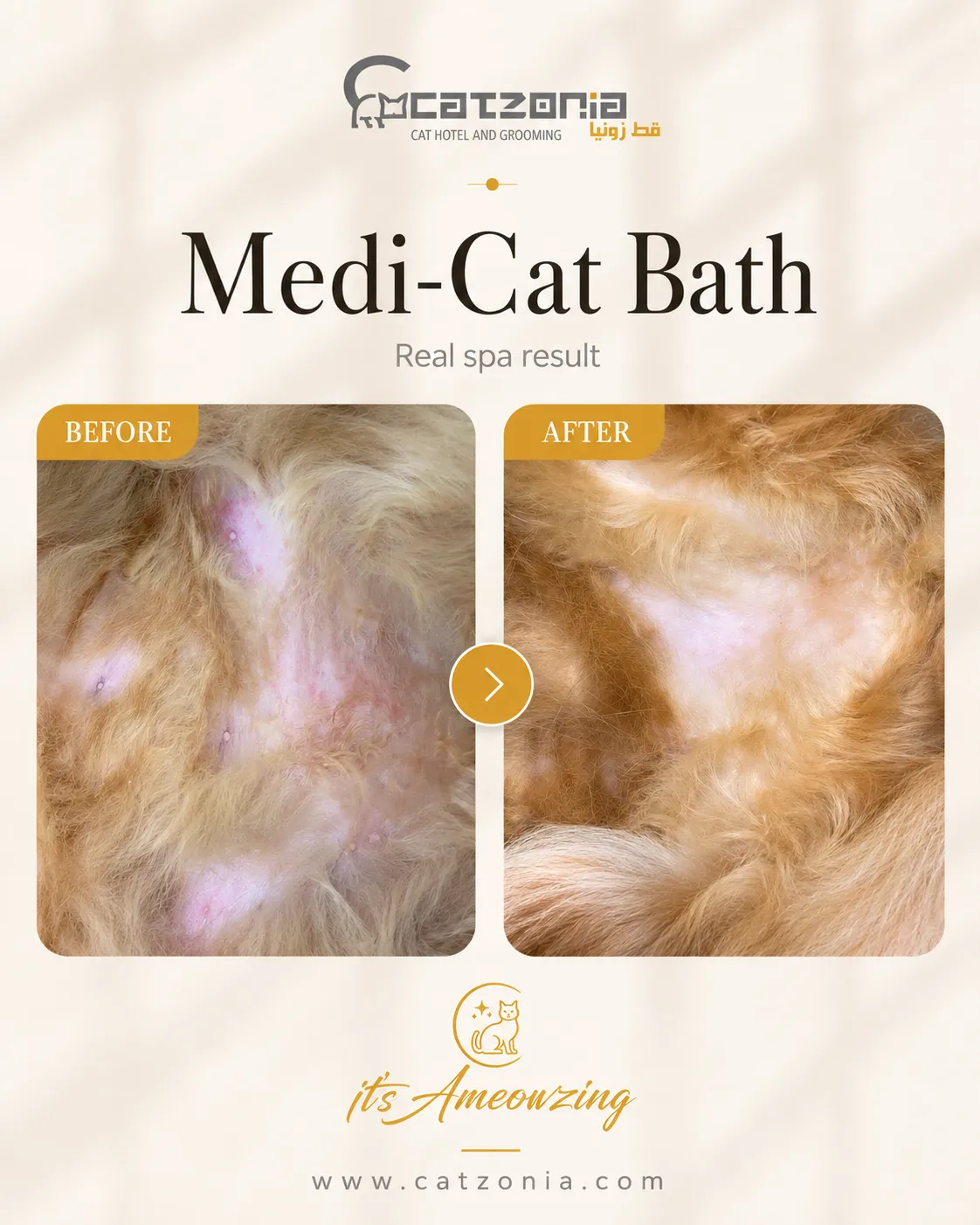 Medi-Cat Bath — photo 3