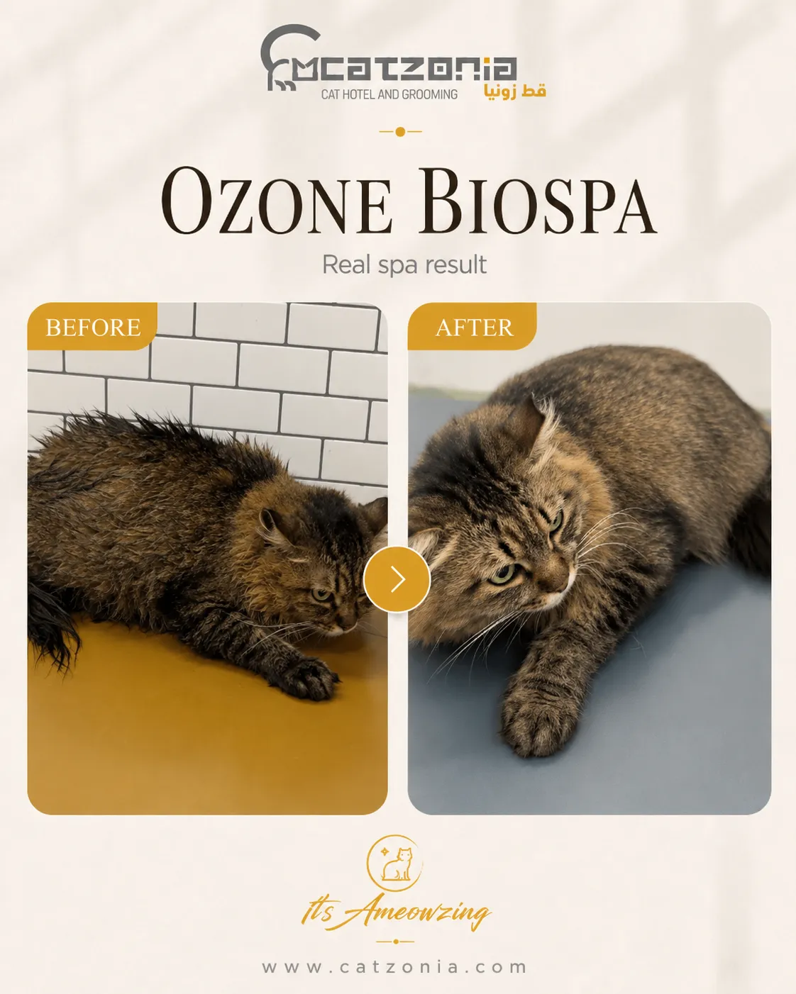 Ozone Biospa — photo 8