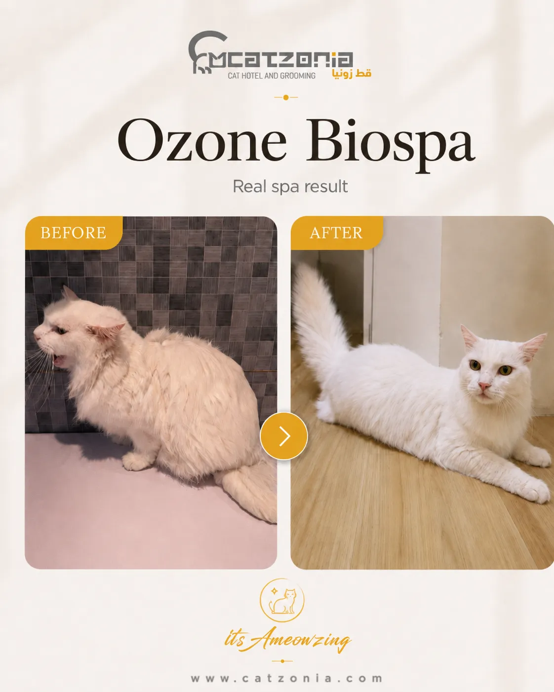 Ozone Biospa — photo 9