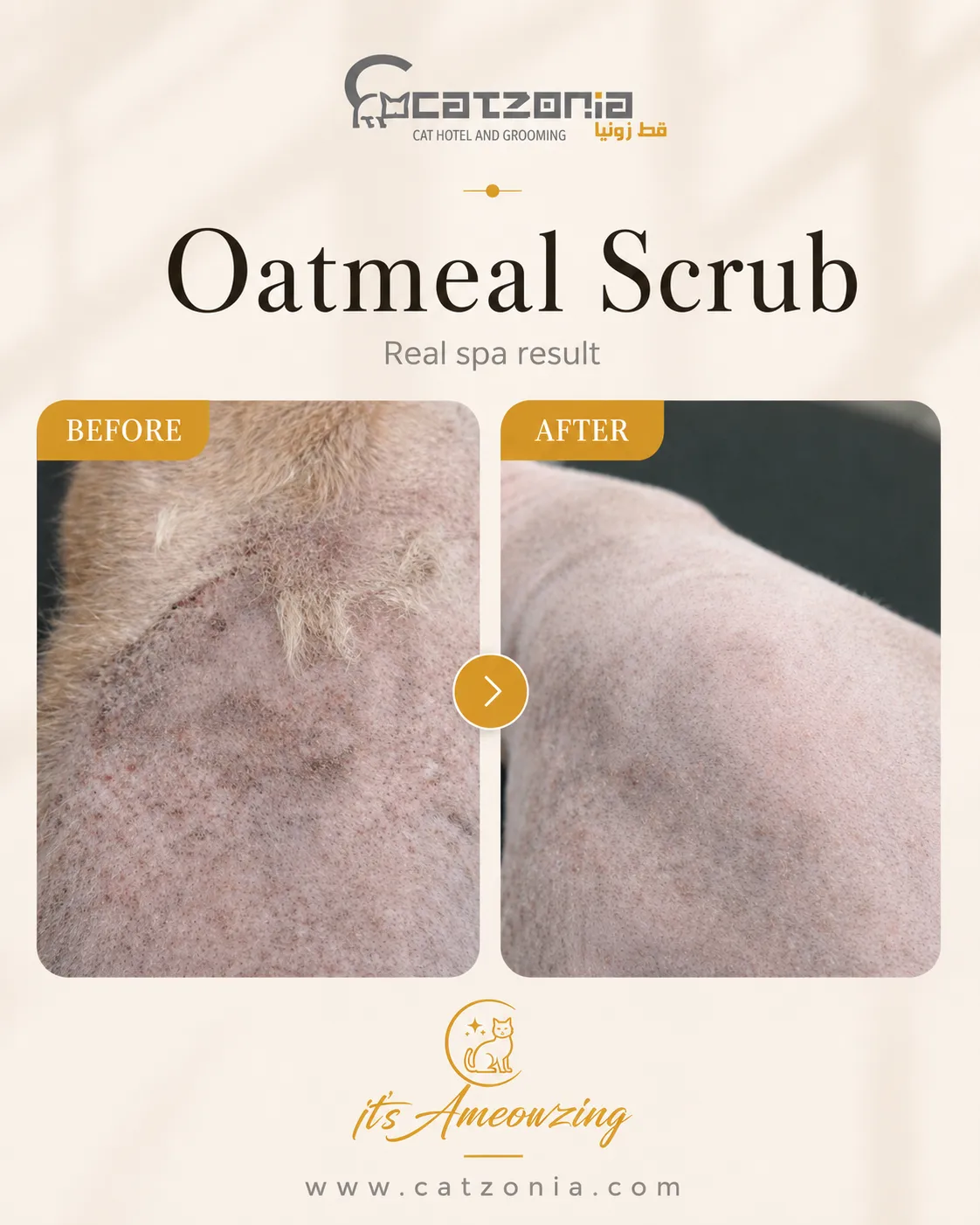 Oatmeal Scrub — photo 9